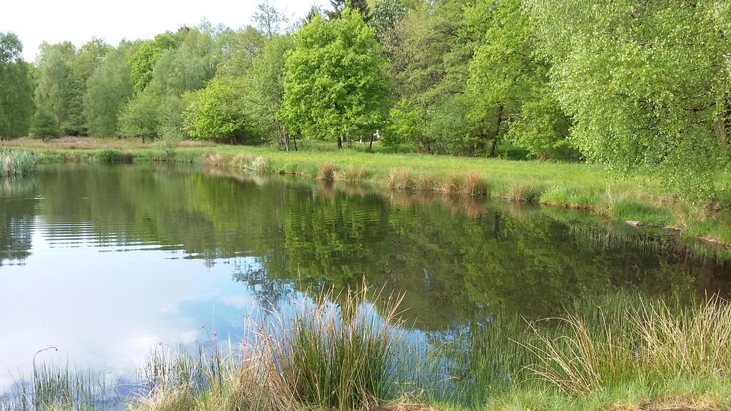 Gastezimmer - Campingplatz Am Muhlenbach Soltau Eksteriør billede